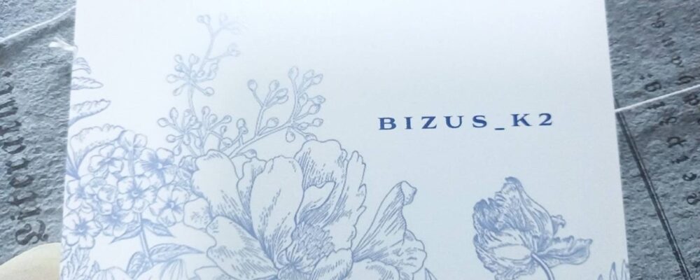 BUZUS_K2